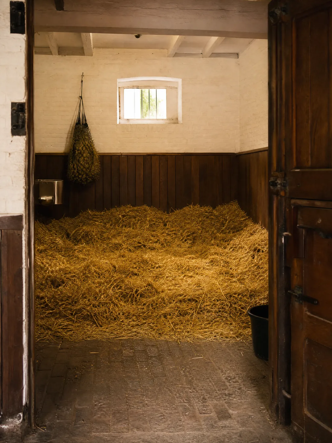 Box intérieur vide, litière de paille fraîche, fenêtre et filet à foin